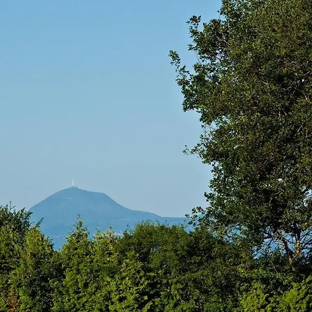 Hotel Chateau La Caniere